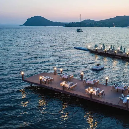 Elite يالِكافاك