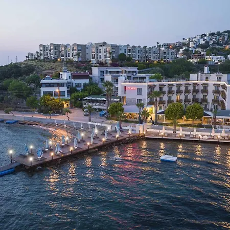 Elite يالِكافاك