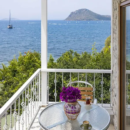 Elite 4* يالِكافاك