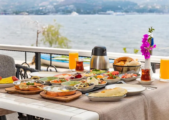 Elite Яликовак