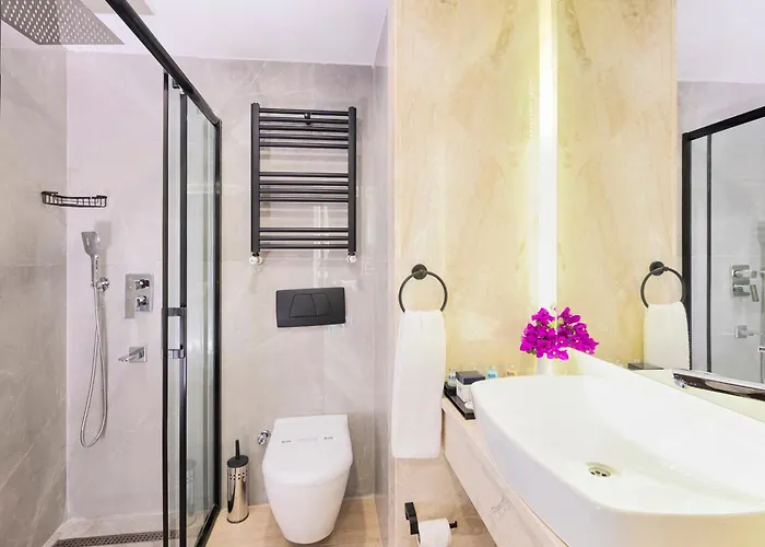 Hotel Elite 4*