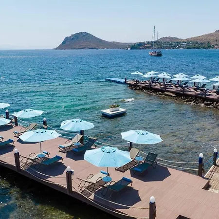 Elite Яликовак